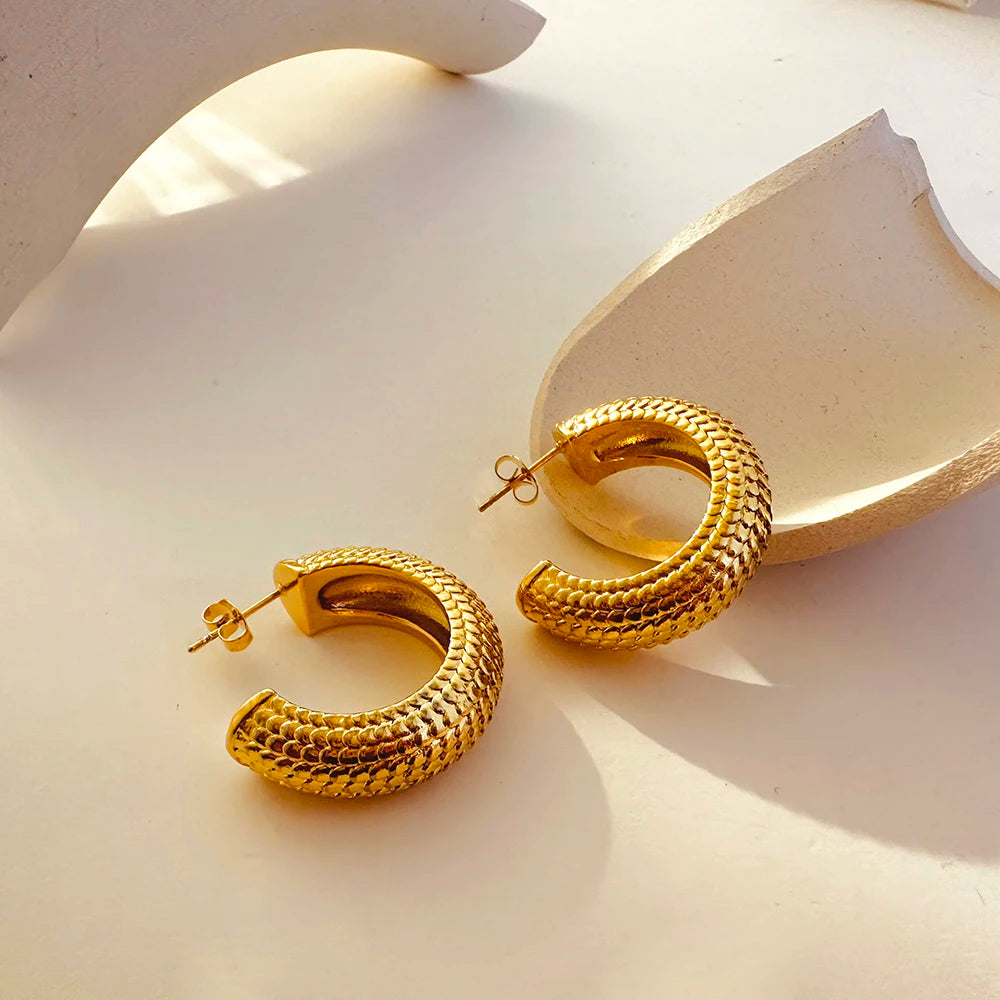 Pisci - Earrings