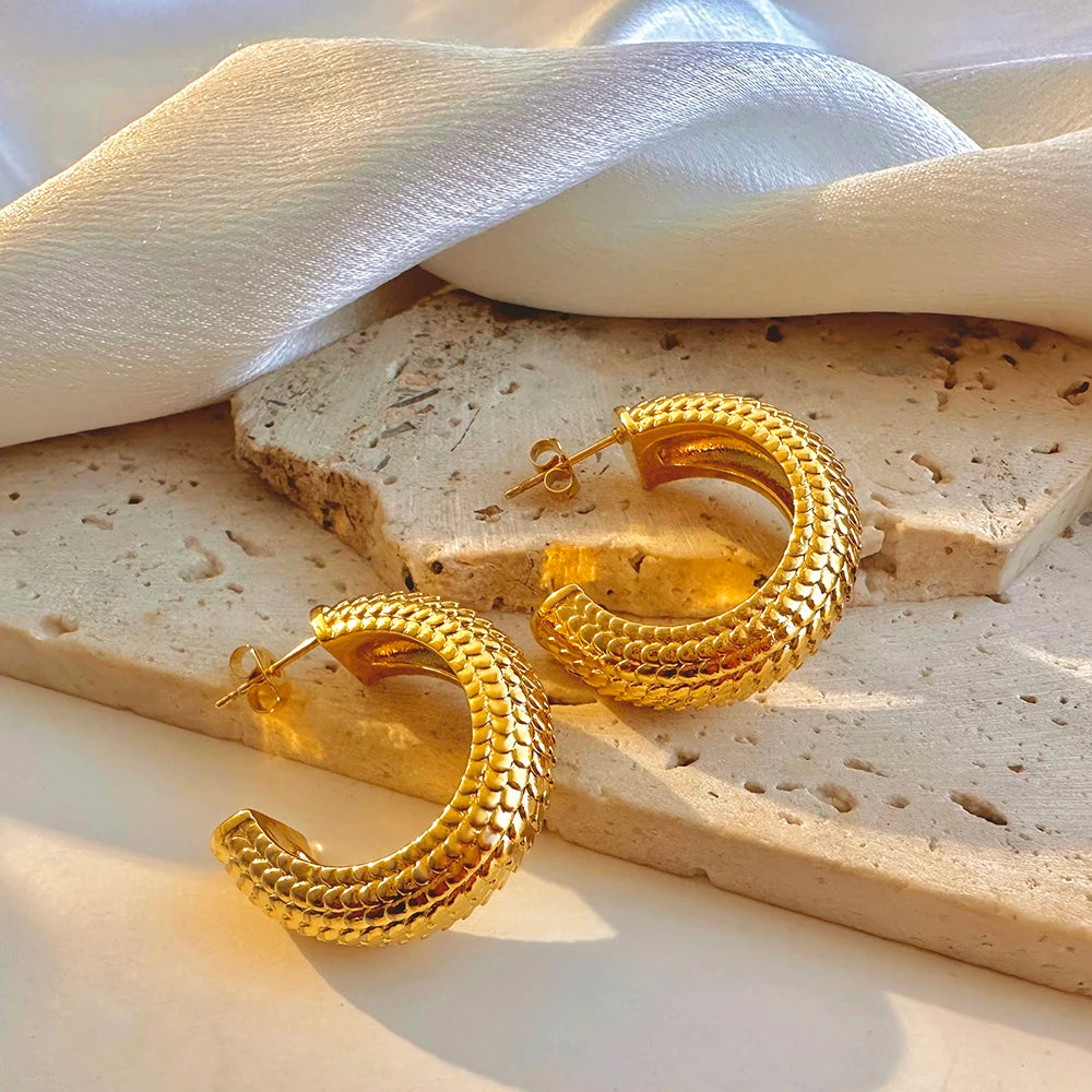 Pisci - Earrings